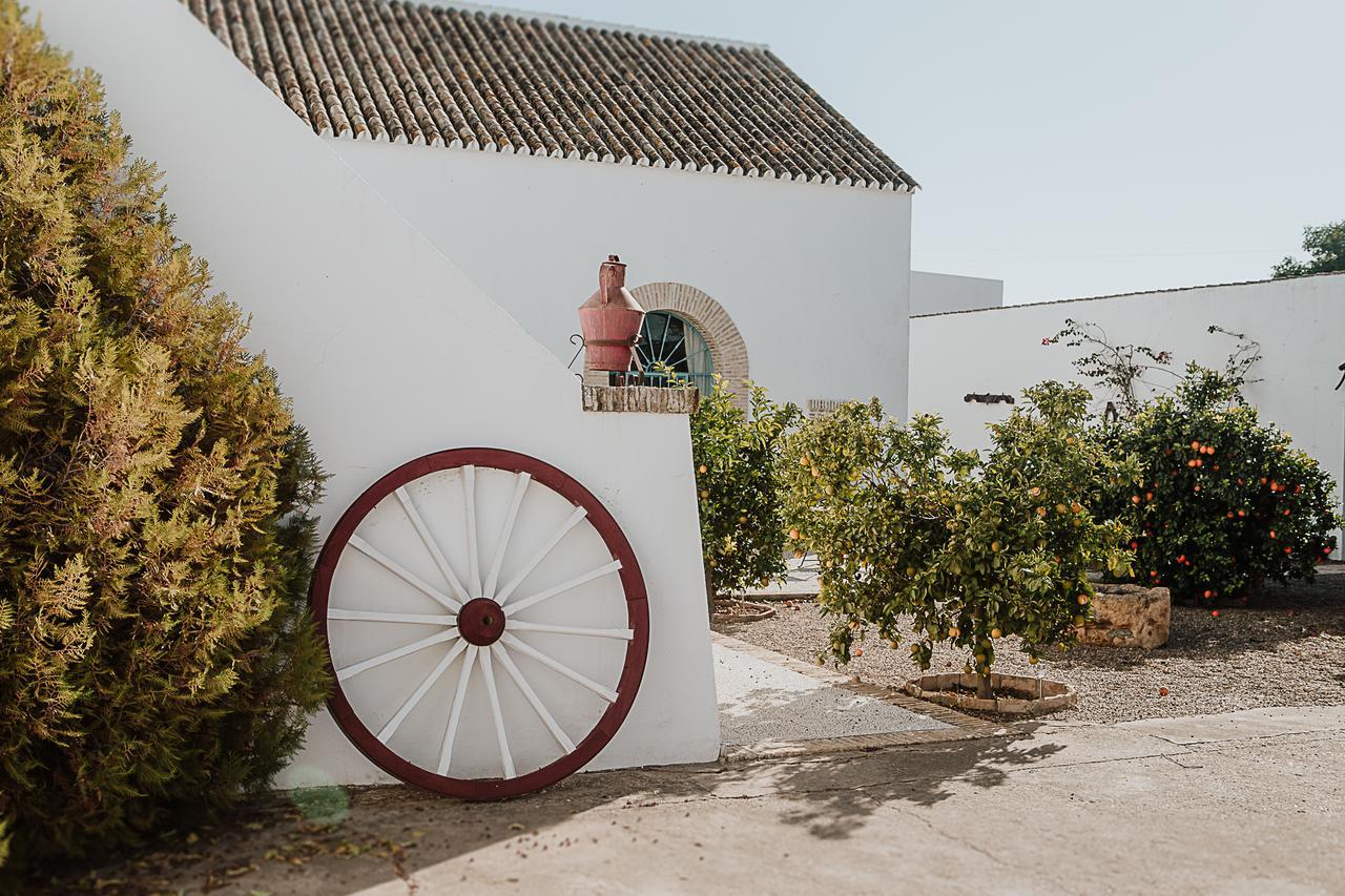 Cortijo Santa Clara Villa Carmona  Exterior foto